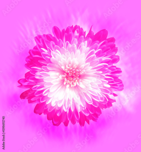 flower background with many petals futuristic texture