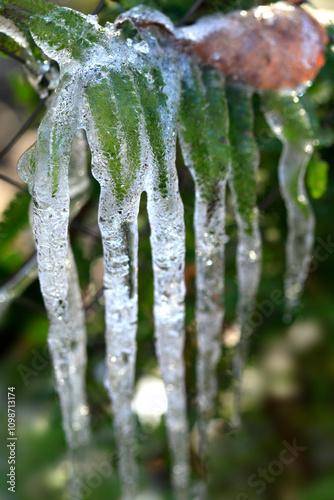 Blue icicles on nature background