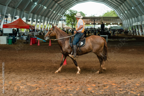 Принти на полотні Indoor Equestrian Competition