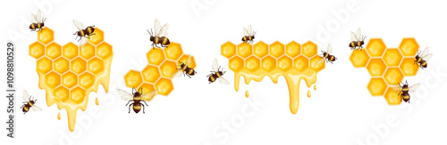 Set of colorful honeycombs with honey bees.Vector graphics.