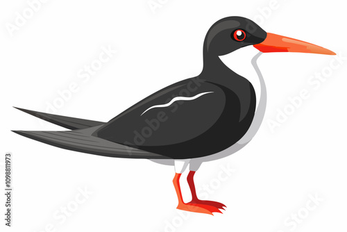 Cute black skimmer isolated on white background vector illustration