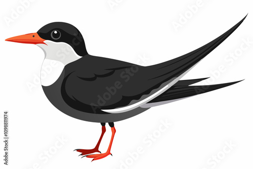 Cute black skimmer isolated on white background vector illustration
