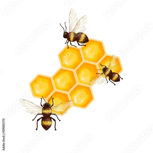 Colorful bee honeycomb with honey winged insects bees and chamomile wild flowers. Vector graphics.