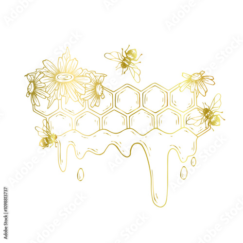 Golden linear honeycombs with honey-bearing winged insects bees and chamomile wildflowers. Vector graphics.