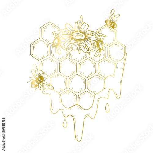 Golden linear honeycombs with honey-bearing winged insects bees and chamomile wildflowers. Vector graphics.