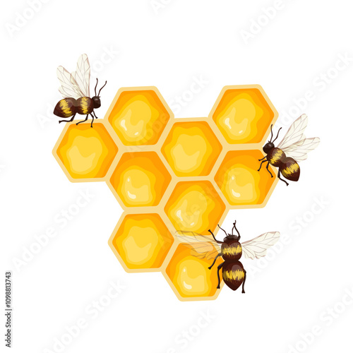 Colorful bee honeycomb with honey winged insects bees and chamomile wild flowers. Vector graphics.