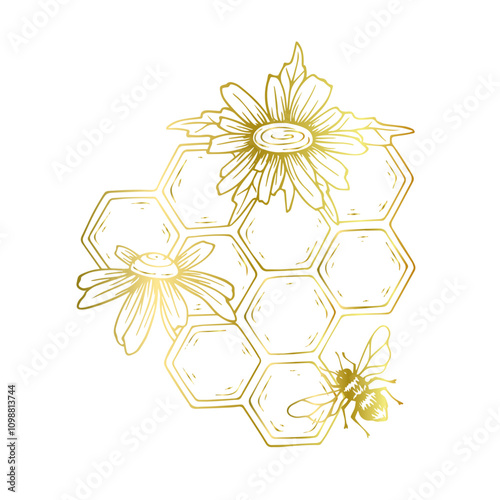Golden linear honeycombs with honey-bearing winged insects bees and chamomile wildflowers. Vector graphics.