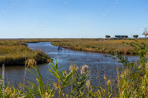Bayou area in Louisiana, in autumn season