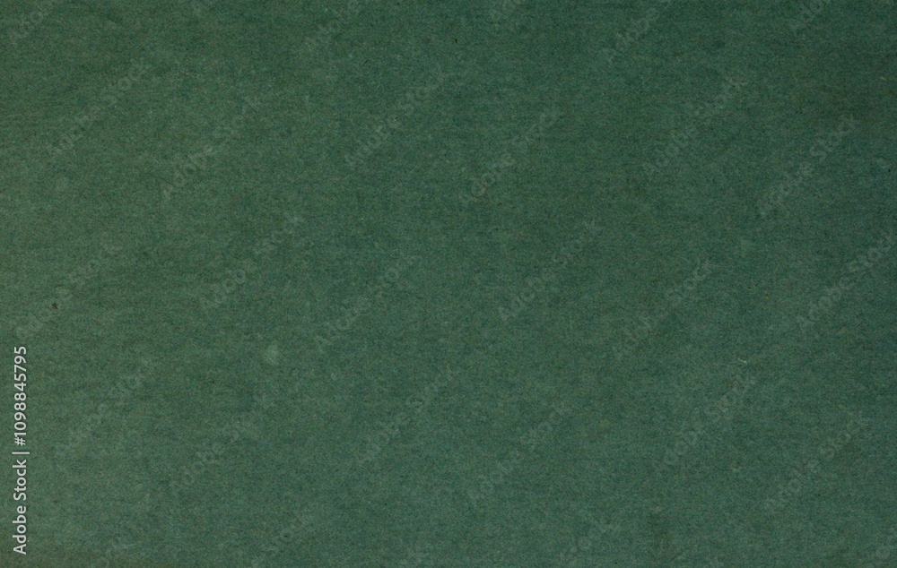 Fototapeta premium This grimy cardboard paper is dated 1807 from India, with dirty plantation and antique dark grayish spring green colours. Features a rough medieval paper parchment and is an empty design. Textured.
