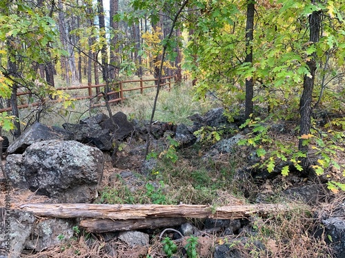 A serene forest scene with large rocks, fallen logs, and a wooden fence in the background. photo