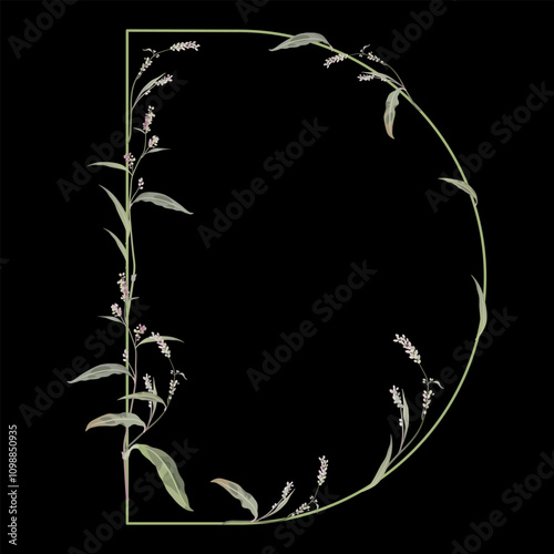 Capital letter D with floral motifs. Botanical alphabet with herbs and wildflowers. Blooming green branches of Polygonum plant. Knotweed or Smartweed flower. On black background.