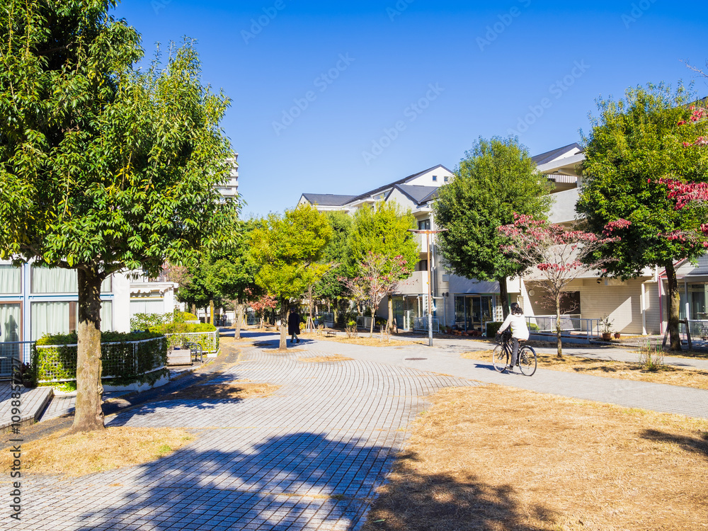 郊外の住宅地 紅葉の生活道路