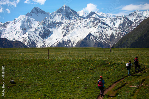 Summer pastures in Yili, northern Xinjiang photo