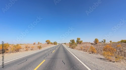 Driving on asphalt road passing through Gobi desert with Populus euphratica Forest on sunny autumn day in Kuqa, southern Xinjiang, China, POV from the car, 4k real time footage, travel concept. photo