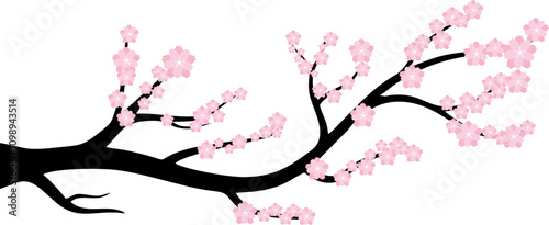 Branch with Cherry Bloosom
