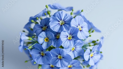 Delicate blue pansy flowers arranged in a small bouquet with short thin green stems and leaves, fresh flowers, herbaceous plants, green foliage photo