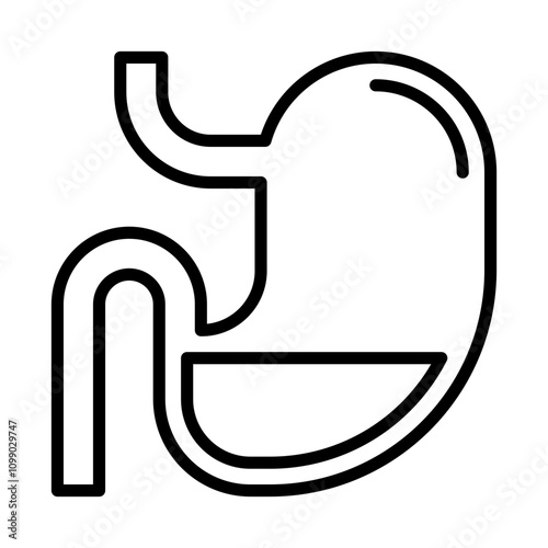Stomach