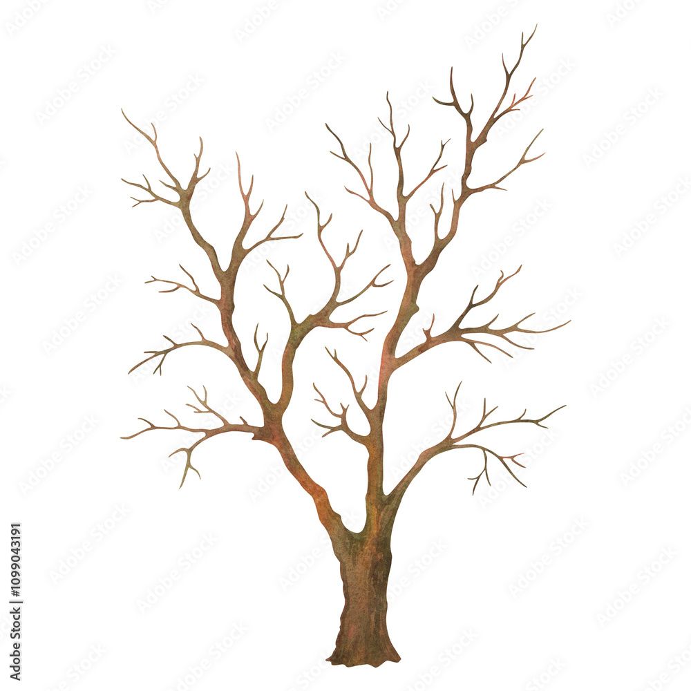Fototapeta premium Bare deciduous tree silhouette. Isolated watercolor hand drawn leafless tree. Natural object from the forest landscape constructor set for winter or fall season background or scenery creating.
