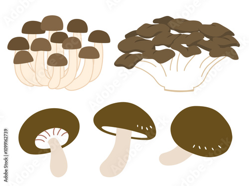 シンプルなしめじと舞茸と椎茸のイラスト　フラットテイスト