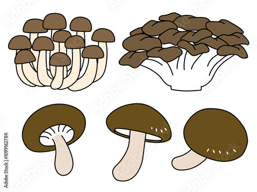 シンプルなしめじと舞茸と椎茸のイラスト　主線あり