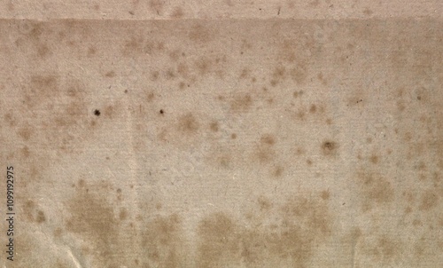 This stained paper manuscript is dated 1806 from India, with textured mushroom and old half rickshaw colors. Features a damaged historic paper parchment and has copy space. Textured.