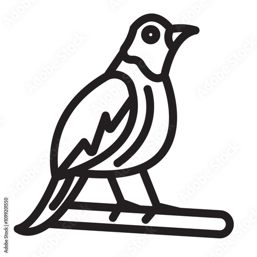 Quail 