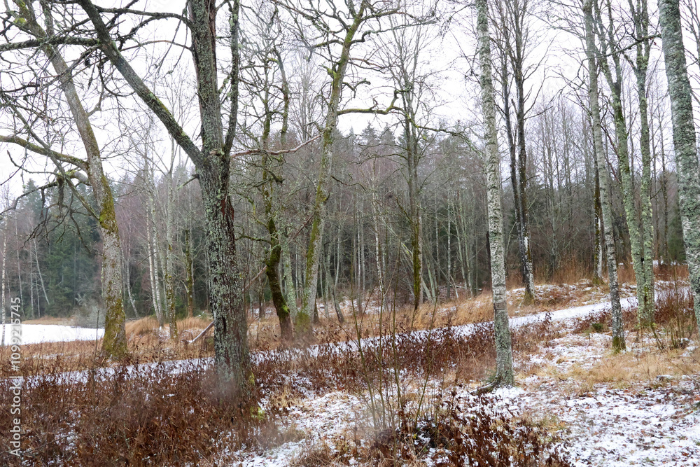 custom made wallpaper toronto digitalwinter