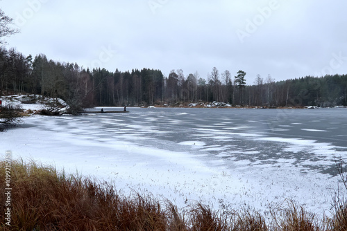 Canvas Print Winter