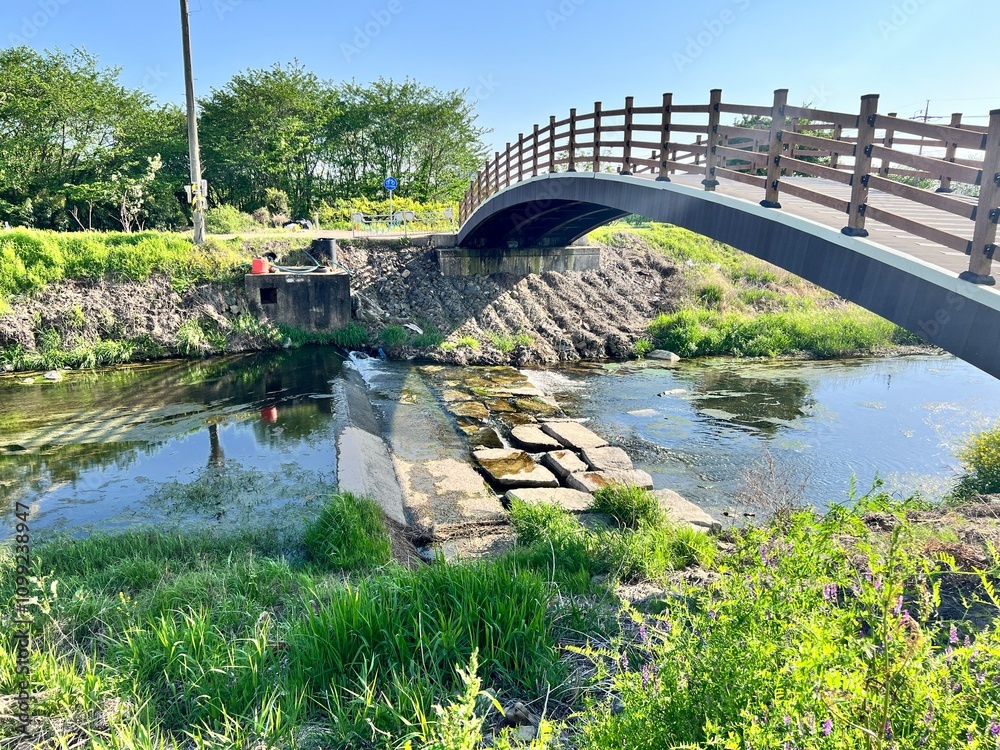 Fototapeta premium 자연풍경 여유와 행복한 이미지