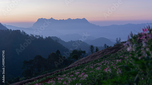 Photograph of Doi Luang Chiang Dao in the morning.