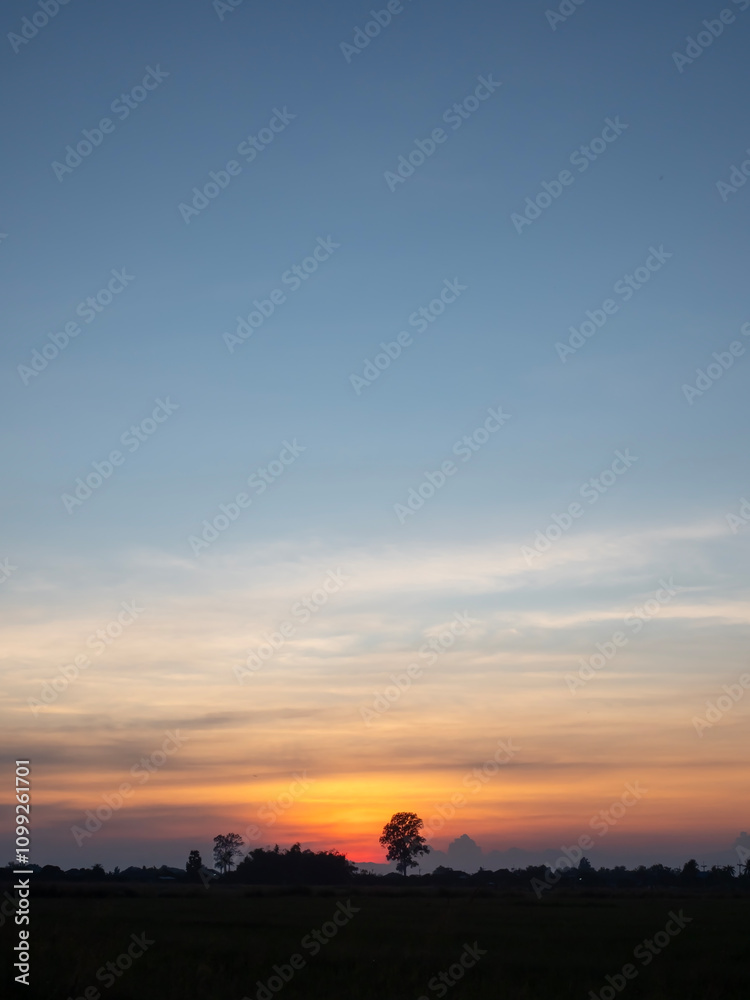 The silhouette of the trees contrasts with the beautiful evening sky.