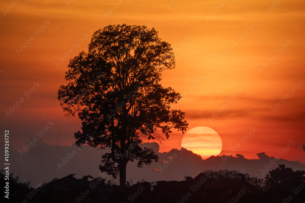 The silhouette of the trees contrasts with the beautiful evening sky.