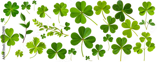 Lucky Clover Collection: A vibrant collection of shamrocks and other greenery, perfect for St. Patrick's Day designs or any project needing a touch of Irish luck.