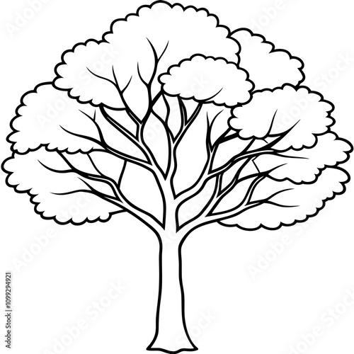 sketch of tree