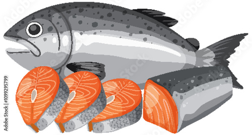 Fresh Salmon and Sliced Fillets Illustration