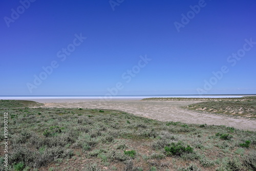 Steppe gentle shore of Lake Elton photo