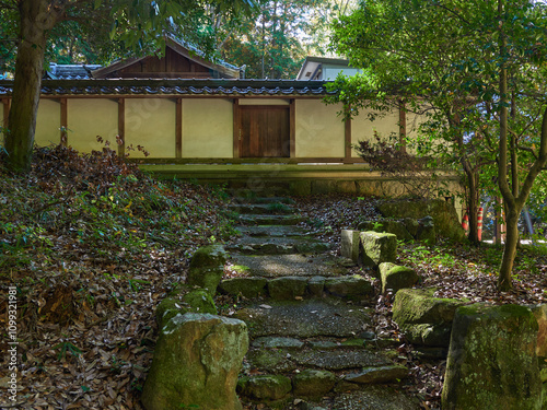 秋の森と静かな神社の建物の風景 photo