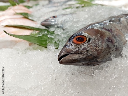 Fresh fish displayed on ice with a leafy green background, creating a cool and appetizing arrangement. Ideal for seafood, market, or culinary stock photography needs. photo