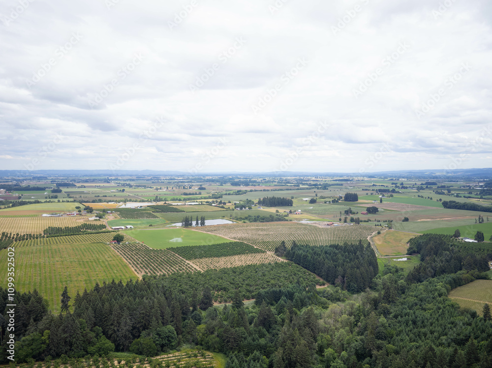 Obraz premium A large, open field with a few trees scattered throughout