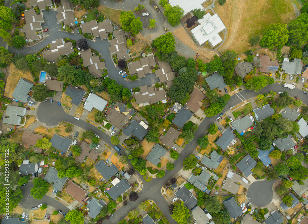 Fototapeta premium A neighborhood with houses and trees