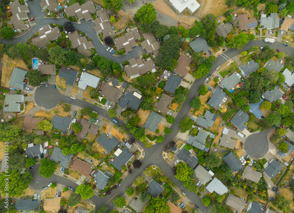 Fototapeta premium A neighborhood with houses and trees