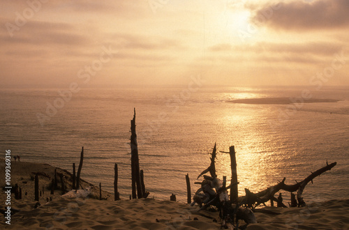 coucher de soleil, Dune du Pilat, Réserve du Banc d'Arguin, Bassin d'Arcachon, Landes de Gascogne, 33, Gironde, France photo