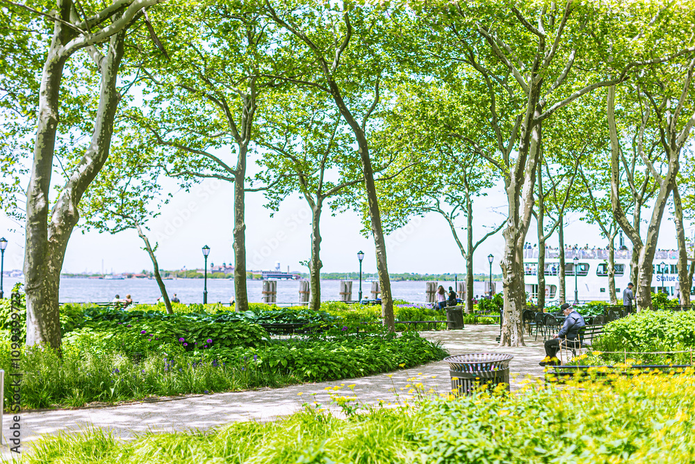 Obraz premium park near the sea on a clear sunny day