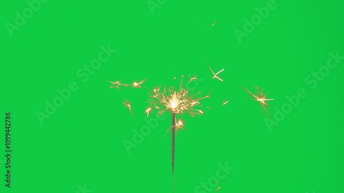 4K real sparkler. burning sparkler isolated on chroma key green screen background for overlay motion graphic, frame rate 60P
