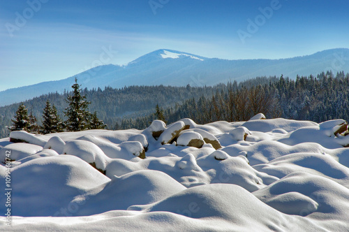 Magical winter mountain landscape and snowy trees on a frosty sunny day with ...