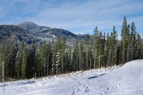 Magical winter landscape of the Carpathians and snow-covered Christmas trees ...