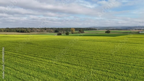 Felder bei Dieburg photo