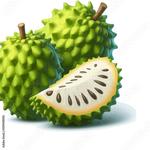 Digital Illustration of Durian Fruit with Spiky Green Exterior and White Flesh Revealed