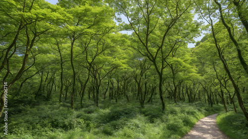 A nature reserve in Europe being overtaken by invasive species such as tree of heaven, with native flora struggling to survive photo