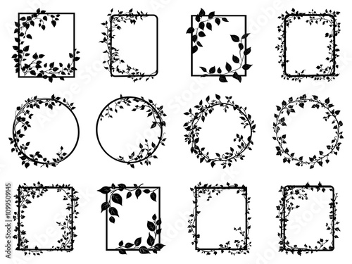 Silhouette ivy liana frame set. Round and rectangular shape. Spindly vine creeping plant. Nature foliage decorative design element. Black and white simple flat style. Isolated vector on white
